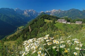 logarska dolina - Alpe
