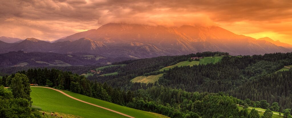 gozd,gore - sonce