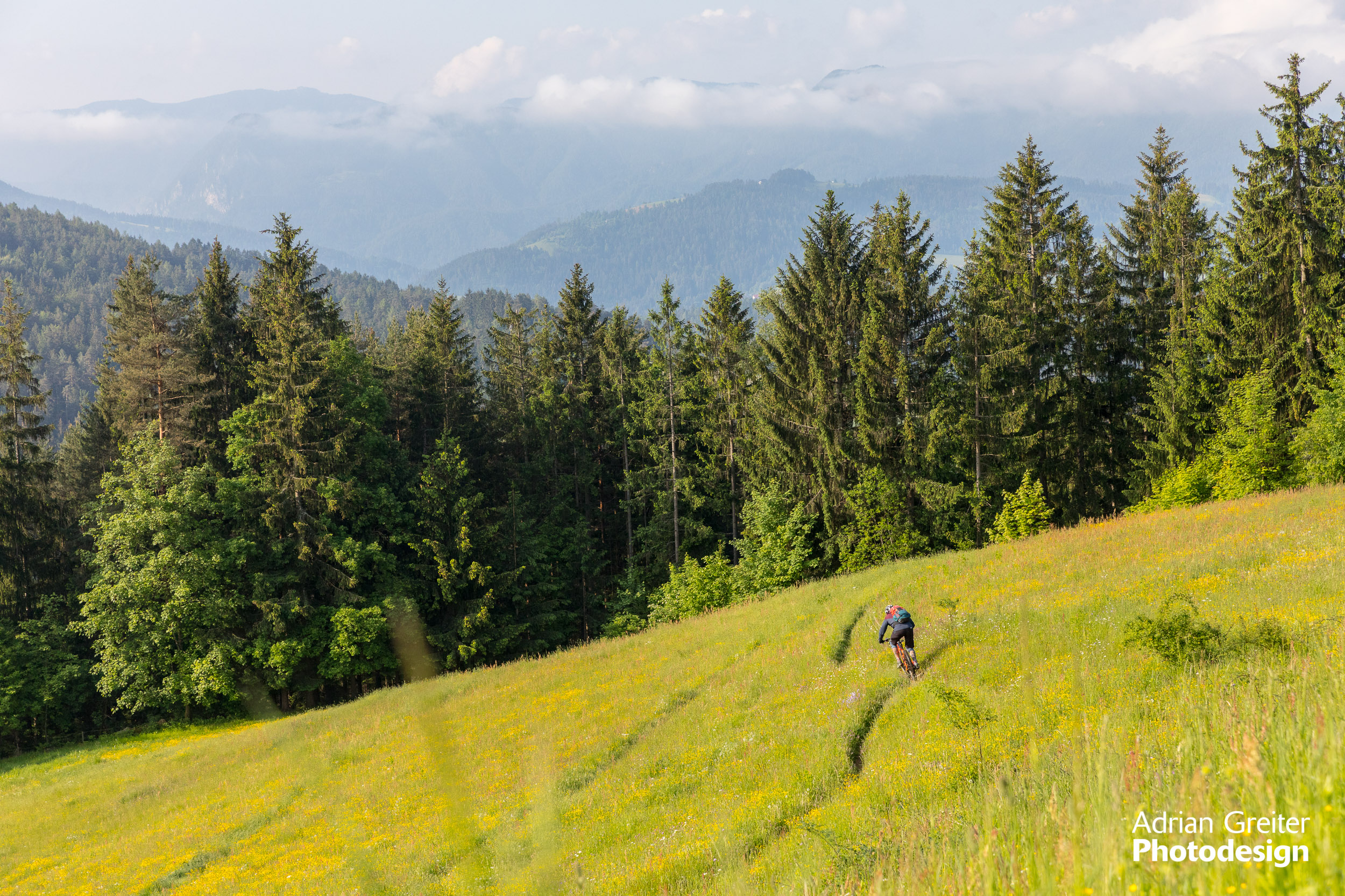 single trail park jamnica